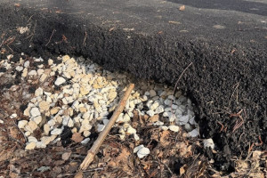 В Муроме подрядчика заставили переделывать ремонт лыжероллерной трассы