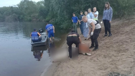 Семья из трех человек утонула в Клязьме в Петушинском районе