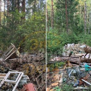 Жители Коврова обнаружили в лесу кладбище строительного мусора