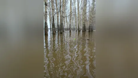 Во Владимирской области весной под воду могут уйти 24 населенных пункта
