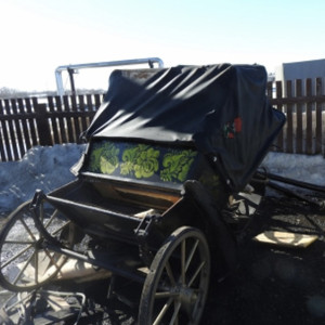 Попавший под следствие из-за ДТП с гужевой повозкой в Суздале полицейский уехал на СВО