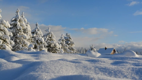 Синоптики спрогнозировали аномальную зиму во Владимире