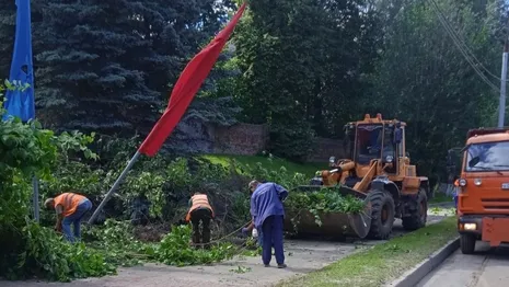 Упавшие на Князь-Владимирском кладбище деревья убрали