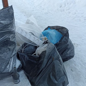 Во Владимирской области начали решать проблемы с вывозом мусора