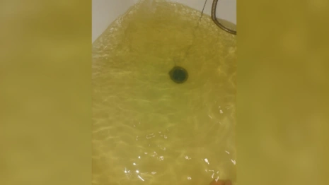 Владимирцы пожаловались на желтую воду в кранах