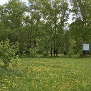 Губернатор рассказал о судьбе Козьего парка во Владимире