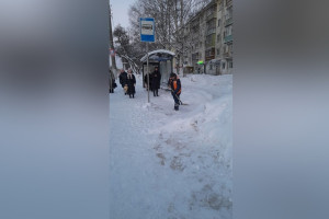 Мэр Владимира рассказал о борьбе с циклоном Ольга 
