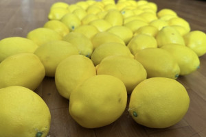 Во Владимире 21-летний парень с двумя подростками украли лимоны с инсталляции у кофейни