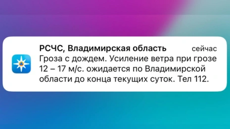 МЧС предупредило о грозе и урагане во Владимирской области