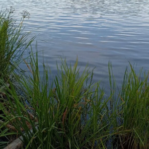 Владимирская область замкнула топ-5 регионов ЦФО по количеству утонувших