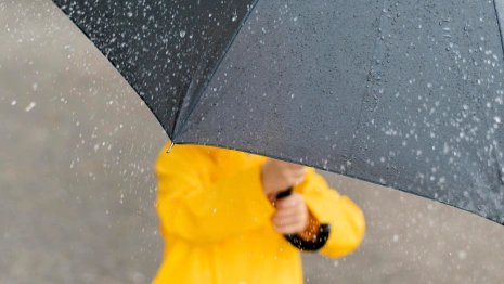 Прогноз погоды во Владимирской области на 8 ноября