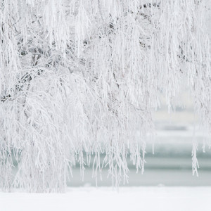 Филимонов день: что можно и нельзя делать 27 декабря