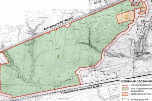 Проект дороги через парк «Дружба» во Владимире вынесли на общественные слушания