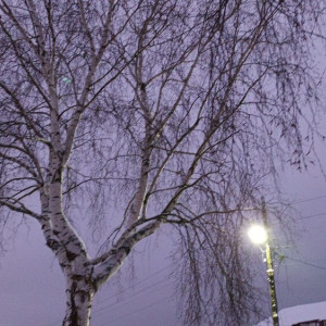 Прогноз погоды во Владимирской области на 8 февраля 2025 года