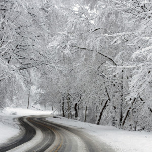 Жителей Владимирской области предупредили о сильном снегопаде