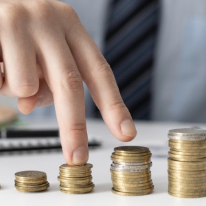 Прожиточный минимум во Владимирской области вырос на 16%