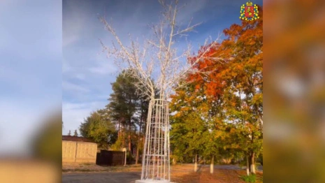 В Киржаче установили первое световое дерево