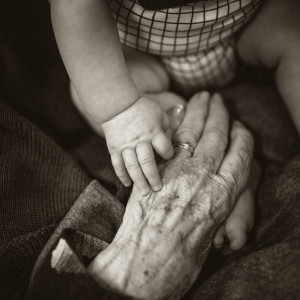 Во Владимирской области смертность превысила рождаемость в два раза