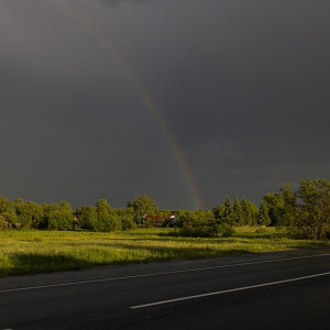 Арктический холод покинет Владимирскую область
