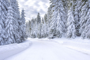 Прогноз погоды во Владимире и области на 12 января