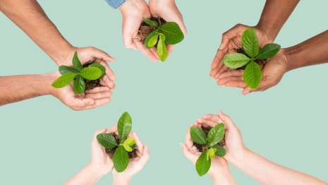 Владимирцы отказались от бумажных квитанций и сэкономили 752 кг бумаги