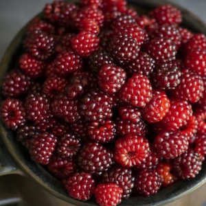 Во Владимирской области подозреваемую в воровстве цыганку задержали по горячим следам