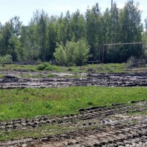 Многодетной семье из Меленок выдали участок на бездорожье