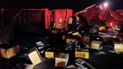 В Гороховецком районе перевернулась фура с кормом для кошек