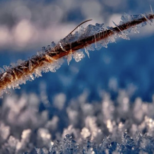 Арктическое вторжение принесет во Владимирскую область заморозки