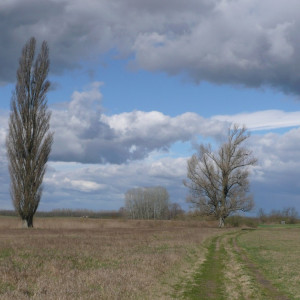 Владимирские энергетики приготовились к работе при штормовом ветре