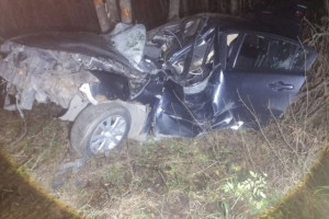 В Петушинском районе иномарка влетела в дерево: двое попали в больницу