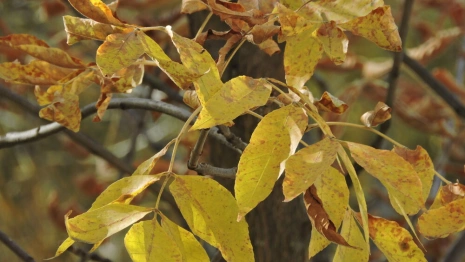 Прогноз погоды во Владимире и области на 3 сентября