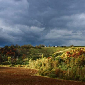 Во Владимирской области наступил разгар бабьего лета
