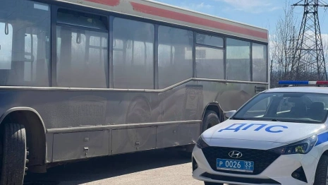 Во Владимире «Волгобас» сбил девочку