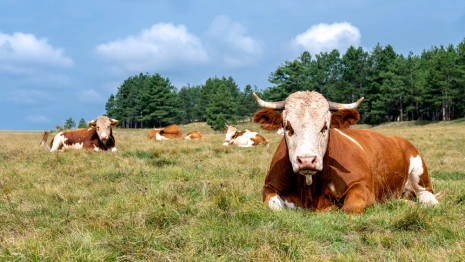 Юрий Вешний: что можно и нельзя делать 6 мая