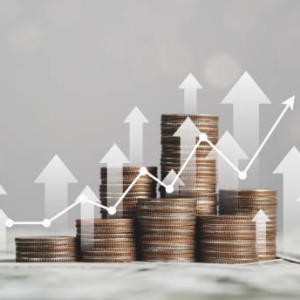 Псевдоблогер из Краснодара обманул жительницу Коврова на 23 тыс. рублей