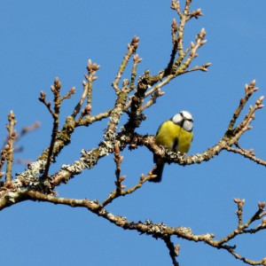 Синоптики дали прогноз на февраль во Владимирской области