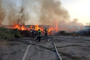 Во Владимирской области на свалке произошел крупный пожар