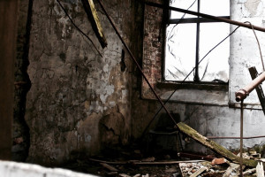 Труп пропавшего 2,5 года назад мужчины нашли у заброшенной фермы под Владимиром