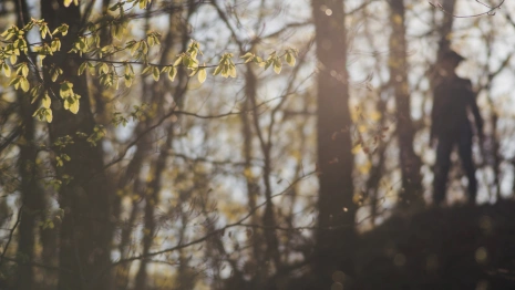 Пропавшего 12-летнего ребенка во Владимирской области нашли живым