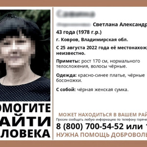 Убийца женщины из Коврова отправлял СМС с ее телефона