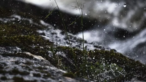 Во Владимирской области спрогнозировали мокрый снег 21 декабря