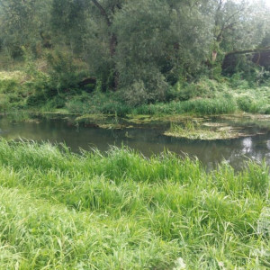 В Александрове в реке Серая утонул 67-летний мужчина