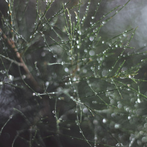 Прогноз погоды на 3 февраля 2024 года во Владимирской области