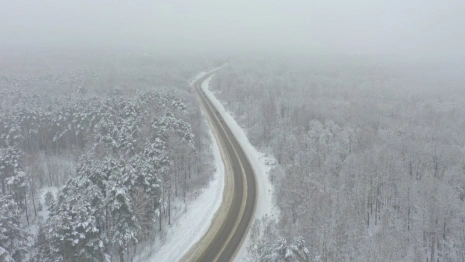 Во Владимирской области отремонтируют почти 9 км ведущей к урочищу Шушмор дороги 
