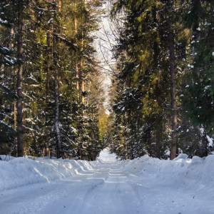 От Москвы до Мышкина. Куда поехать в новогодние каникулы из Владимирской области