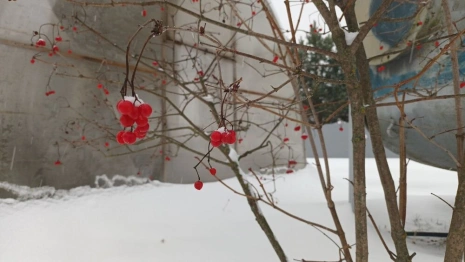 Прогноз погоды во Владимире и области на 17 января 2025 года