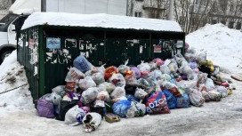 Во Владимирской области не смогли решить проблемы с вывозом мусора