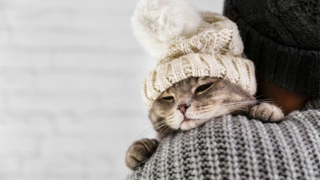 Прогноз погоды во Владимирской области на 28 января