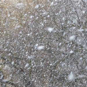 На Владимирскую область надвигается снегопад